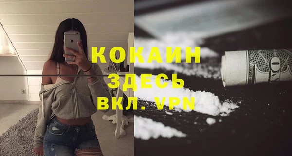 дживик Новозыбков