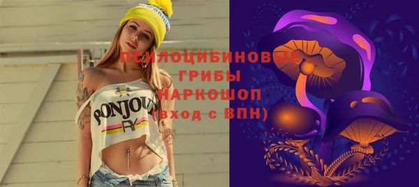 метадон Новодвинск