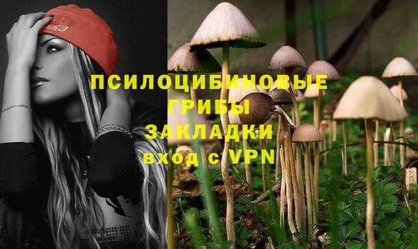 метадон Новодвинск
