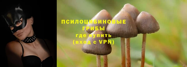 метадон Новодвинск