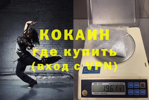 дживик Новозыбков
