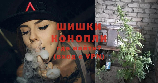 метадон Новодвинск
