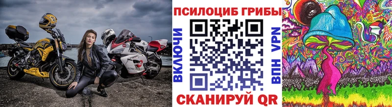 Галлюциногенные грибы MAGIC MUSHROOMS Александров
