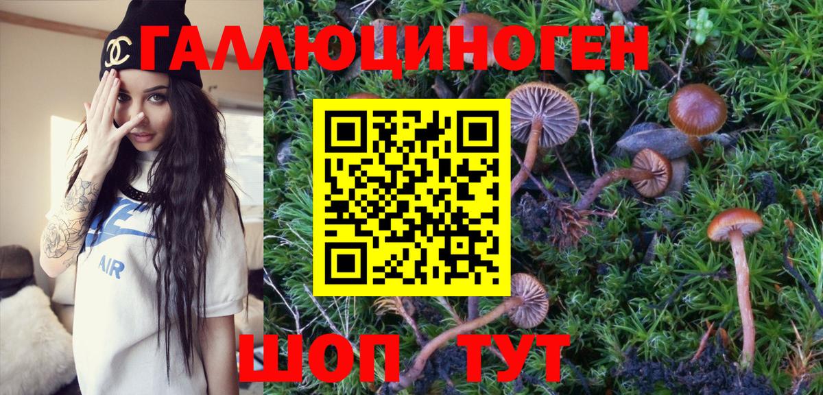 Галлюциногенные грибы Psilocybe Александров