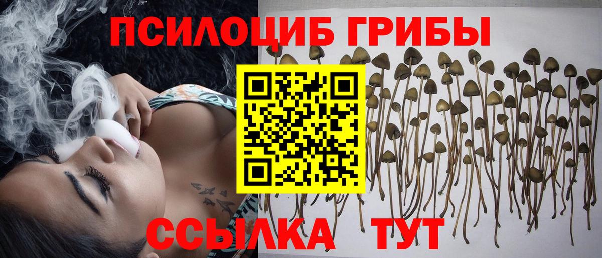 Галлюциногенные грибы мухоморы  Галлюциногенные грибы Psilocybine cubensis  Вход с VPN  Александров 