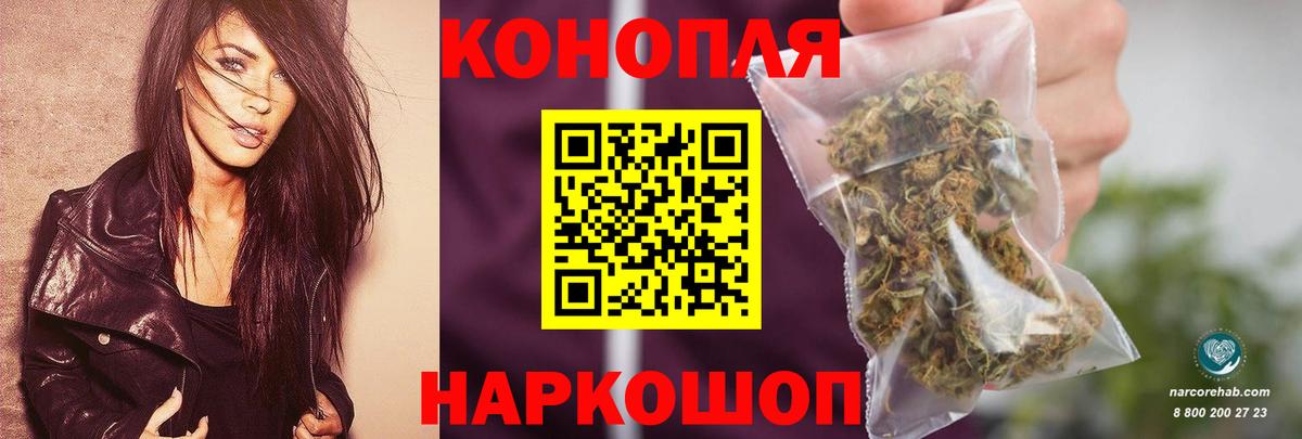 Бошки марихуана сатива  Марихуана марихуана  Бошки марихуана конопля  Александров  Вход с VPN  Марихуана планчик 